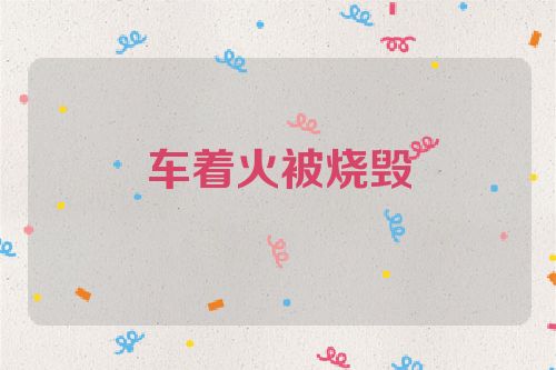 车着火被烧毁