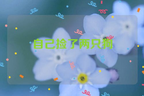 自己捡了两只狗