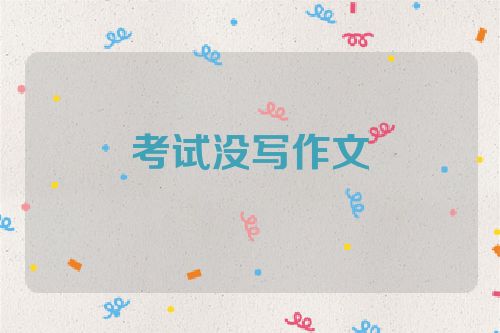 考试没写作文