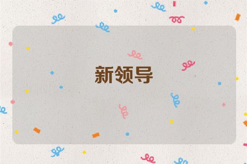 新领导