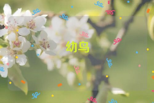 幼鸟