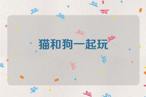 猫和狗一起玩