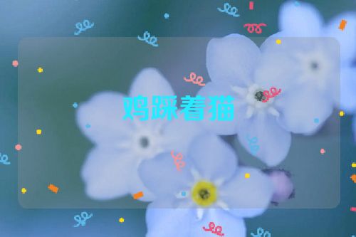 鸡踩着猫