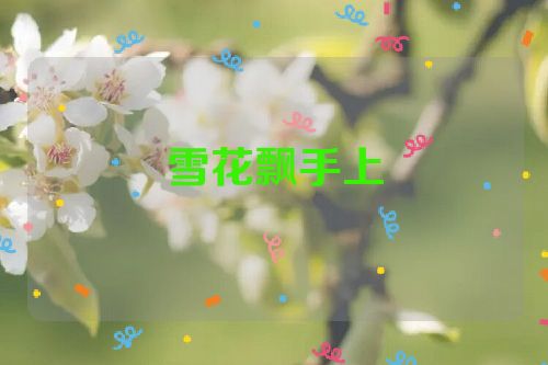 雪花飘手上