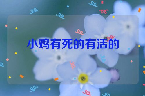 小鸡有死的有活的