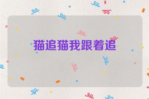 猫追猫我跟着追