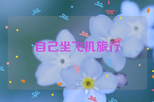 自己坐飞机旅行