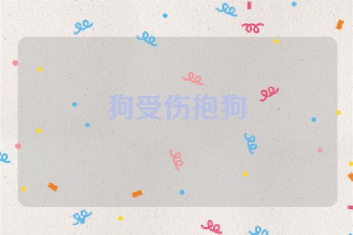 狗受伤抱狗
