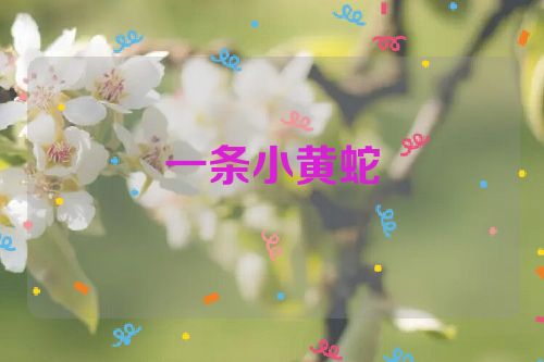 一条小黄蛇