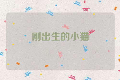 刚出生的小猫