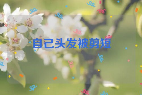 自己头发被剪短