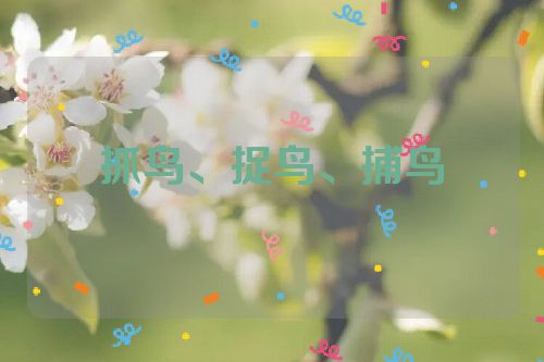 抓鸟、捉鸟、捕鸟