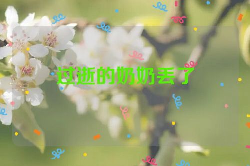 过逝的奶奶丢了