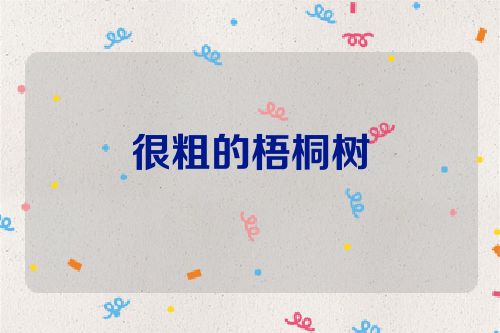 很粗的梧桐树