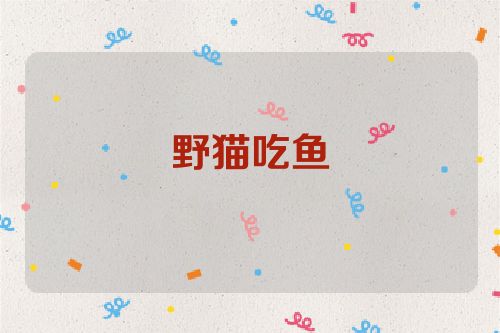 野猫吃鱼