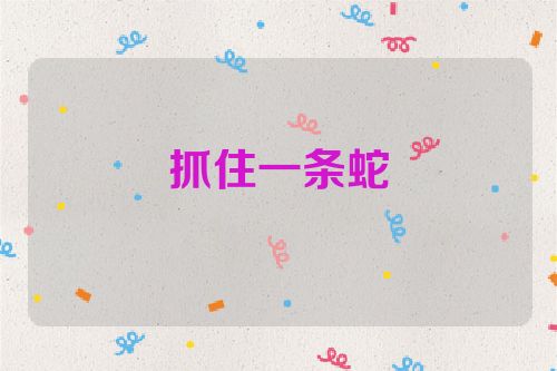 抓住一条蛇