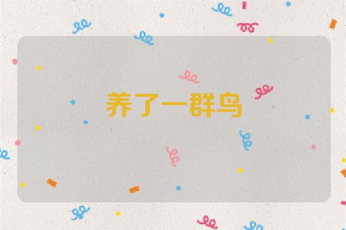 养了一群鸟