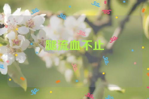 腿流血不止