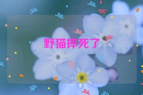 野猫摔死了