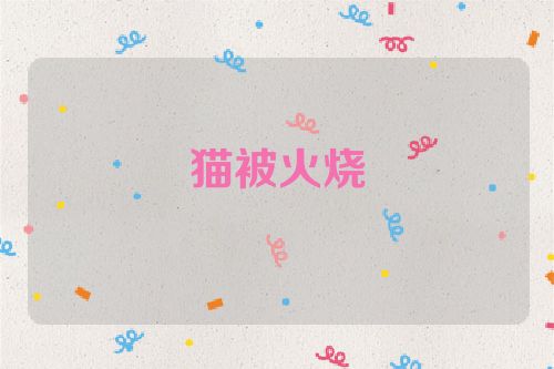 猫被火烧