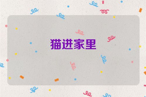 猫进家里