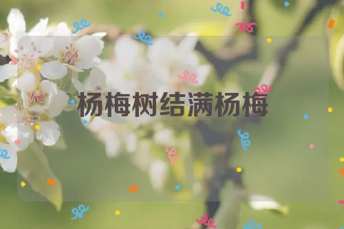 杨梅树结满杨梅