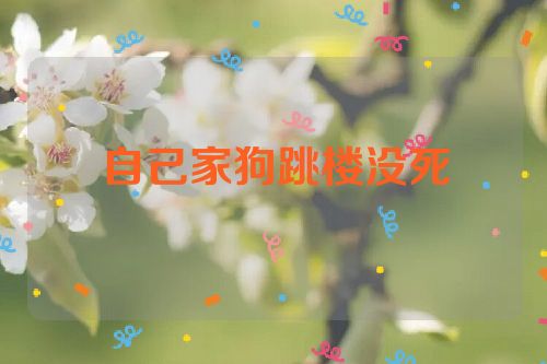自己家狗跳楼没死