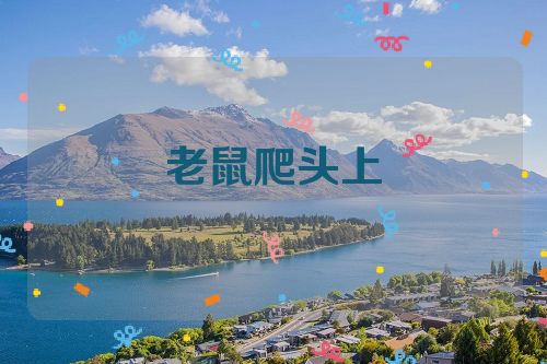 老鼠爬头上