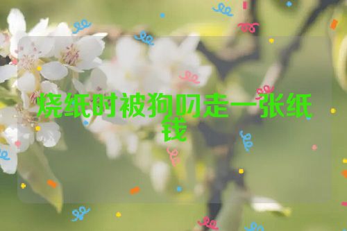 烧纸时被狗叼走一张纸钱