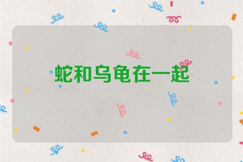 蛇和乌龟在一起
