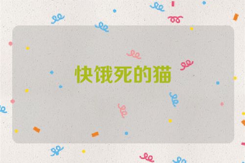快饿死的猫