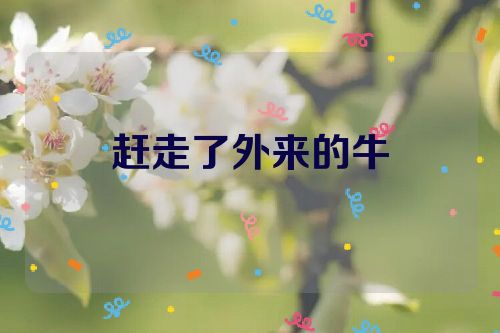 赶走了外来的牛