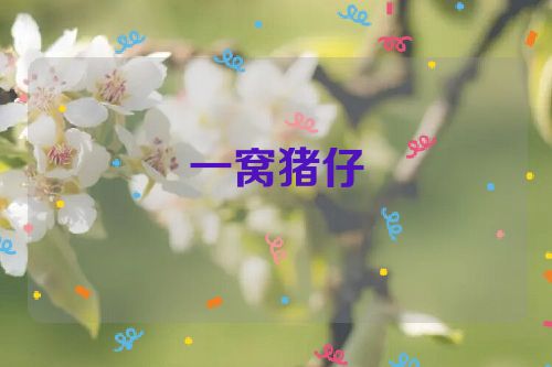 一窝猪仔