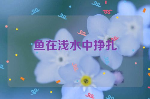鱼在浅水中挣扎