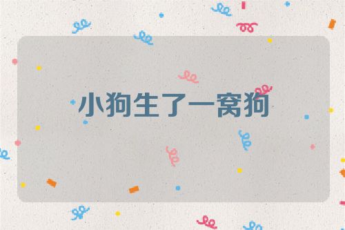 小狗生了一窝狗