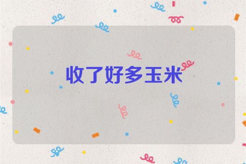 收了好多玉米