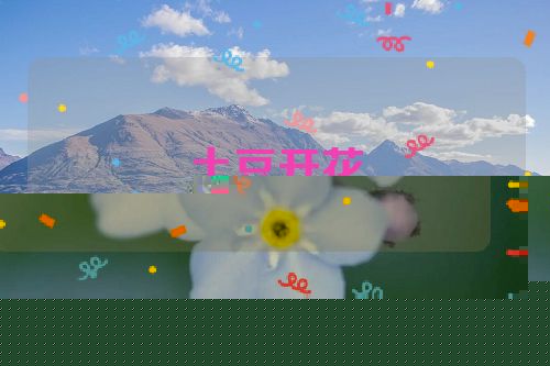 土豆开花