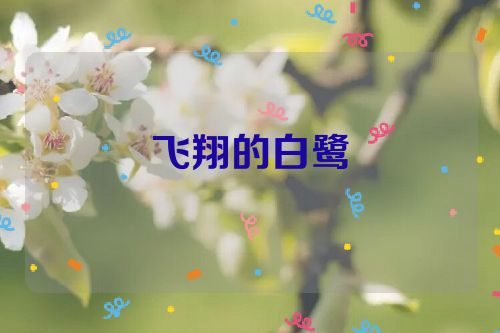 飞翔的白鹭
