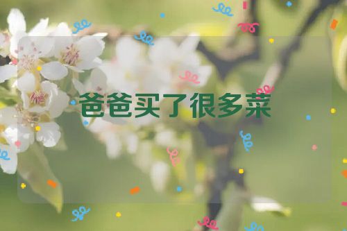 爸爸买了很多菜