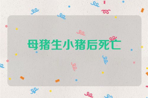 母猪生小猪后死亡