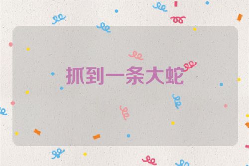 抓到一条大蛇