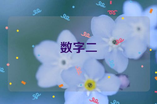 数字二