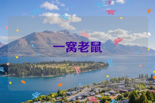 一窝老鼠
