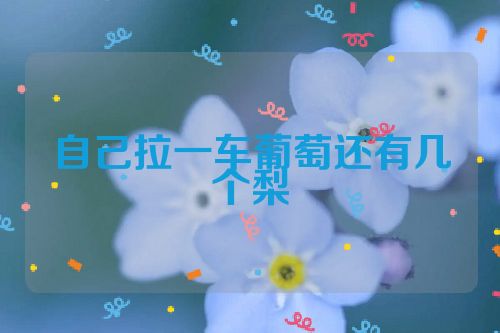 自己拉一车葡萄还有几个梨