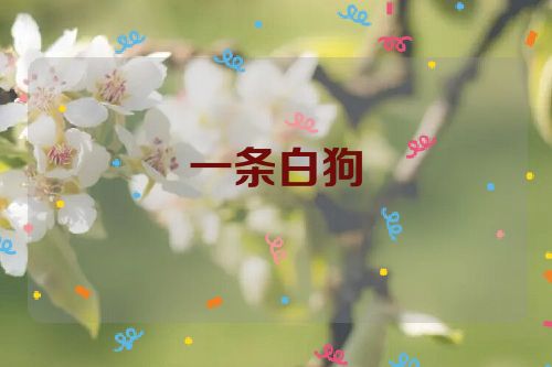 一条白狗