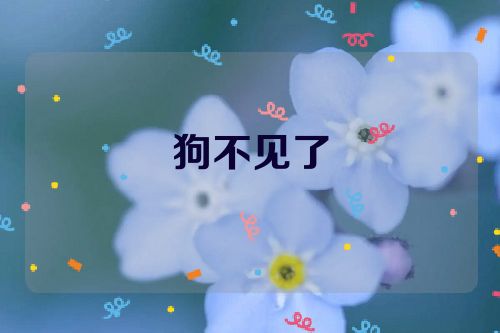 狗不见了