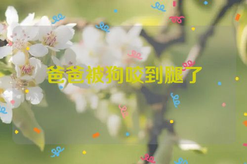 爸爸被狗咬到腿了