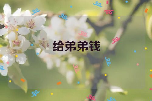 给弟弟钱