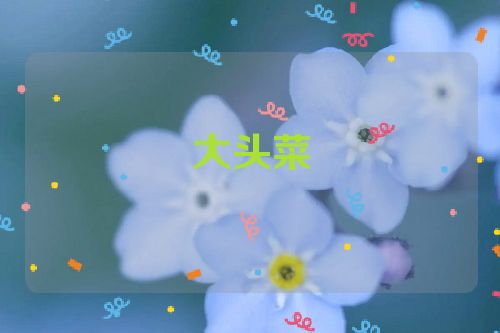 大头菜