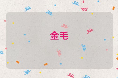 金毛